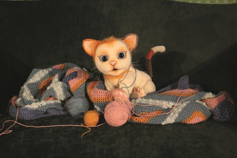 Matze, die kleine Miezekatze - Oberkirch - 11.03.2026 10:00