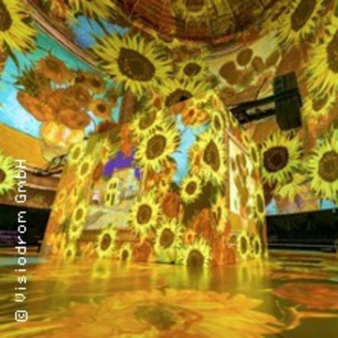 Vincent van Gogh - Sehnsucht - WUPPERTAL - 21.02.2026 10:00