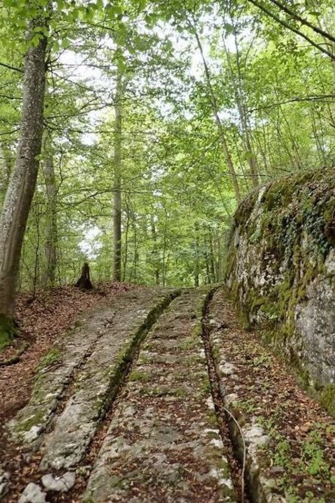 Sieben Kreuzle Tour. Unterwegs auf dem alten Postkutschenweg - Albstadt-Ebingen - 19.07.2026 13:30