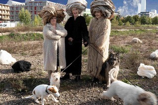 LES REINES PROCHAINES