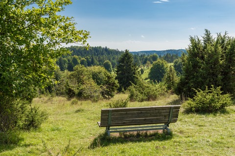Alpenblick, Ochsenberg und die Herren von Wildentierberg - Albstadt-Ebingen - 06.09.2026 13:30