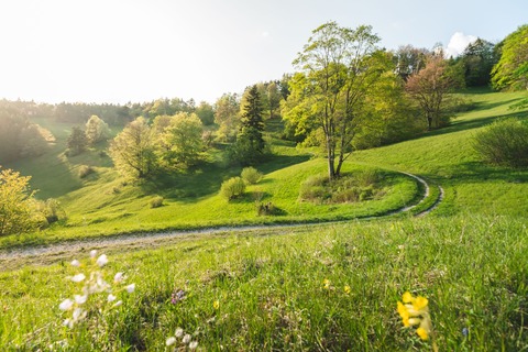 Das wildromantische Roschbachtal - Albstadt-Pfeffingen - 17.05.2026 13:30