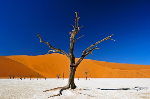 NAMIBIA & BOTSWANA - Marburg - 16.01.2026 19:00