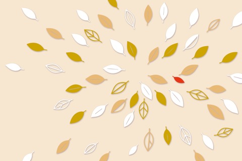 Potsdamer Winteroper - Zanaida - Potsdam - 04.03.2026 19:00