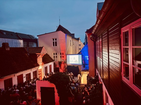 Kurzfilme im Hof - Love me tender - Flensburg - 28.08.2026 21:00