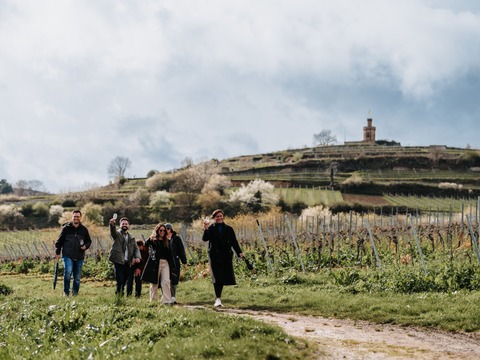 Fr�hlings-Genusstour mit Mandeln und Wein - Bad D�rkheim - 07.03.2026 14:00