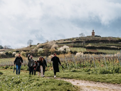 Fr�hlings-Genusstour mit Mandeln und Wein - Bad D�rkheim - 28.03.2026 14:00