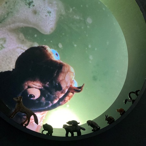 Als die Tiere den Wald verlie�en (8+) - Osnabr�ck - 05.06.2026 18:00