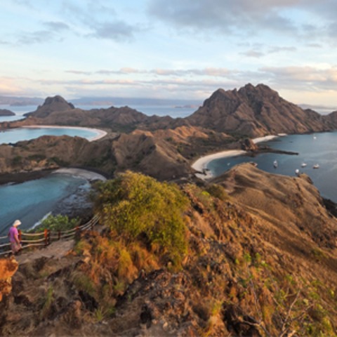 Indonesien. Orang-Utans, Vulkane und Warane - Markkleeberg - 20.01.2026 19:00