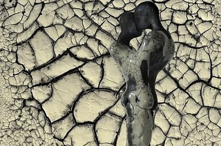 Zwei Lesungen aus &#8222;Agatha im Schatten des Freiburger Mnsters&#8220; gibt es im Kunstraum Nigra Monahejo