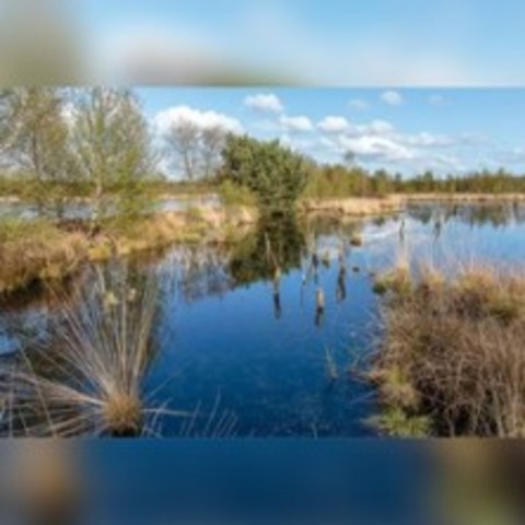 Burgakademie - HAGEN - 22.05.2026 19:00