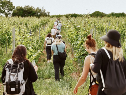 Weinwanderung „nachhaltig und innovativ“ - Bad D�rkheim - 26.09.2026 14:00