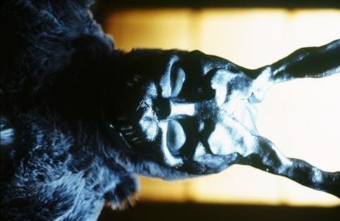 Donnie Darko - Basel - 17.12.2025 20:15