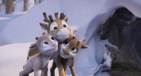 Niko - Reise zu den Polarlichtern - Freiburg - 13.12.2025 12:00