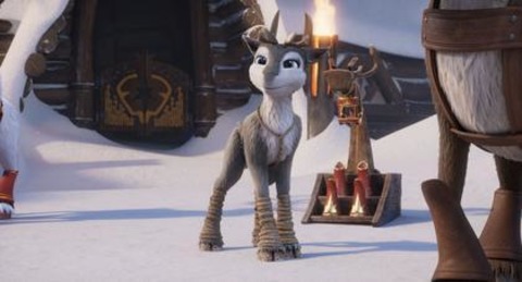 Niko - Reise zu den Polarlichtern - Freiburg - 13.12.2025 12:00