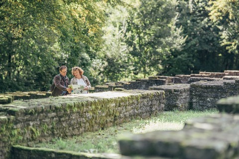 Arch�ologische F�hrung - „Auf den Spuren der Kelten und R�mer“ - Bad Rappenau - 31.01.2026 14:00