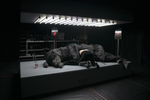 Wolf - Augsburg - 01.03.2026 19:00