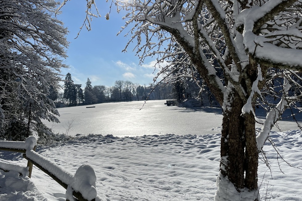 Schneeschuhtrail Rothaus - Grafenhausen
