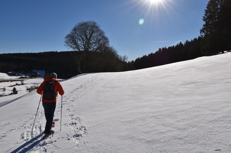Schneeschuhtrail J�gersteig - Schluchsee