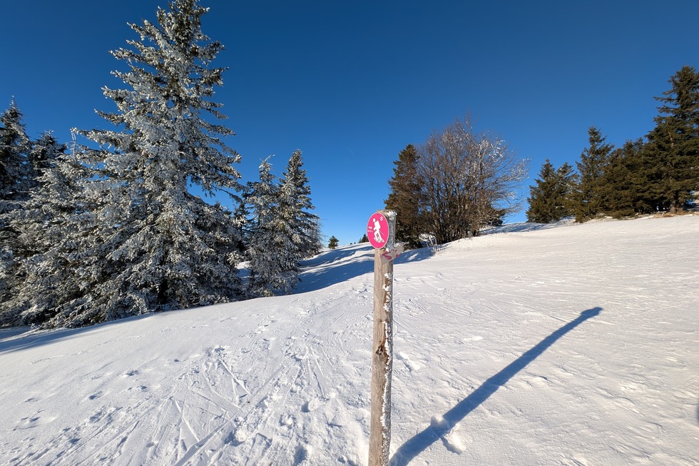 Schneeschuhtour Gipfeltrail - Feldberg