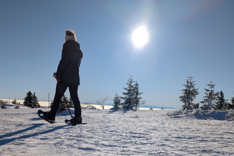 Schneeschuhtour Gipfeltrail - Feldberg