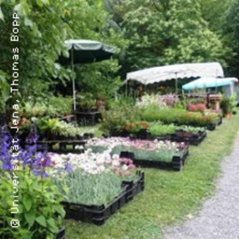 Pflanzenrarit�tenb�rse - JENA - 14.06.2026 10:00
