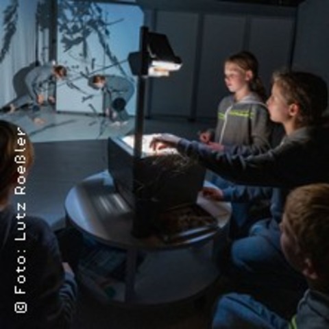 Als die Gro�en den Wald zerst�rten - L�BECK - 18.01.2026 16:00