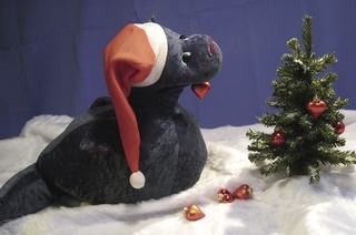 Das &#8222;Happy End Figurentheater Susanne End&#8220; spielt im Haus der Jugend