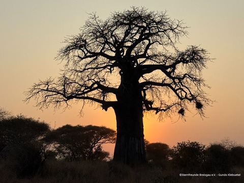 Reise durch Tansania und Unganda - Freiburg - 19.12.2025 19:00