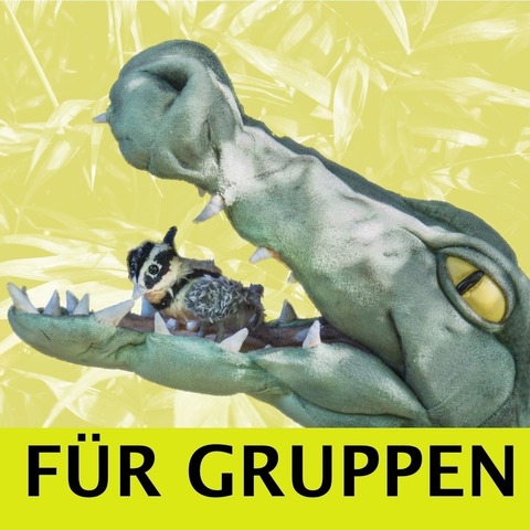 Der Billabongk�nig - Gruppenvorstellung - N�rnberg - 26.06.2026 10:00