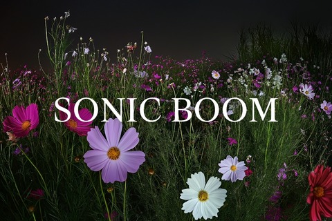 Artists-in-Residence & G�ste - Basel - 20.01.2026 20:00