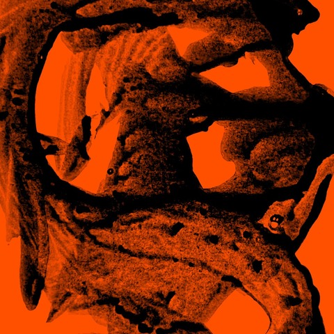 Im freien Fall - Camerata Variabile - Basel - 11.01.2026 17:00