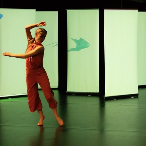 How long is now? - Eine Tanz- und Videokomposition von Katrin Fiege und Emre Meydan - Kassel - 07.02.2026 18:00