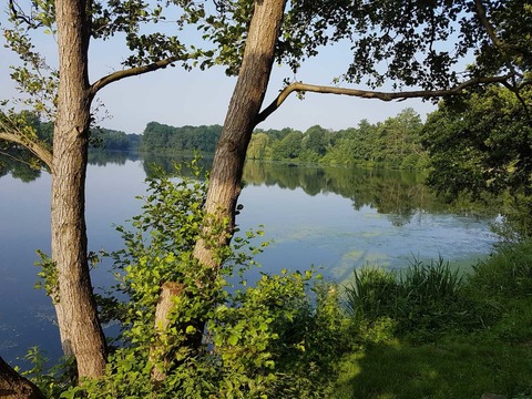 Lebenselixier Wasser - der Pr�bstingsee, eine lebende Ausstellung - Anl�sslich Tag der G�rten und Parks - Borken - 14.06.2026 10:00