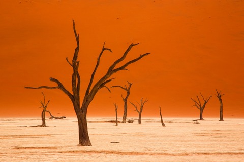 Namibia - Die Sch�nheit Afrikas - Eine Live-Reportage von Andreas Huber - Neustadt an der Weinstra�e - 18.12.2026 19:30