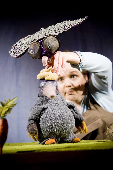 Vom kleinen Maulwurf, der wissen wollte, wer ihm auf den Kopf gemacht hat. - Ein gutgelauntes Theatererlebnis nach dem Buch von W. Holzwarth & W. Erlbruch - Ahaus - 24.03.2026 15:00