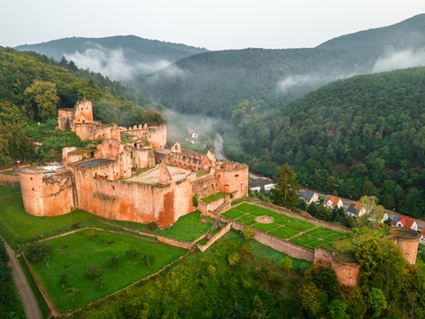 Schloss- und Festungsruine Hardenburg - Bad D�rkheim - 16.05.2026 13:30