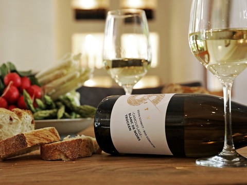 Weinprobe und Kellerfhrung im Bio - Weingut Egon Schmitt - Bad Drkheim - 16.07.2026 16:00