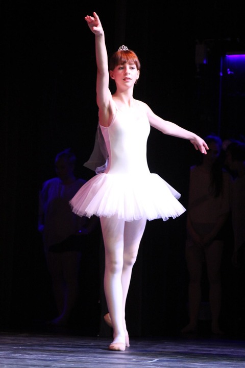 Behind Swan Lake - Jahresauff�hrung 2026 - Eppelheim - 24.01.2026 13:00