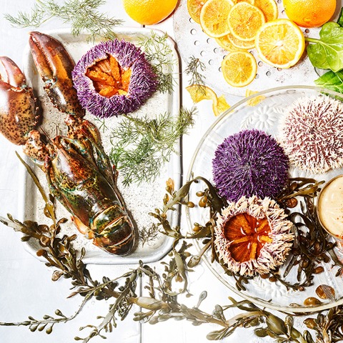 Men�abend - Hummermen� - Hamburg - 11.09.2026 19:00