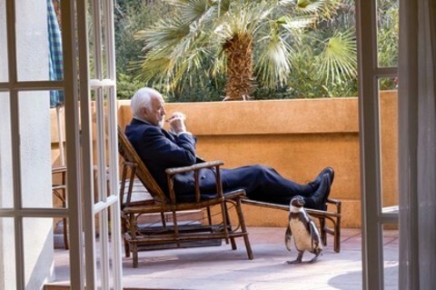 Der Pinguin meines Lebens - Kandern - 19.12.2025 20:15