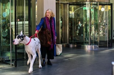 Loyal Friend - Furtwangen - 18.12.2025 20:00