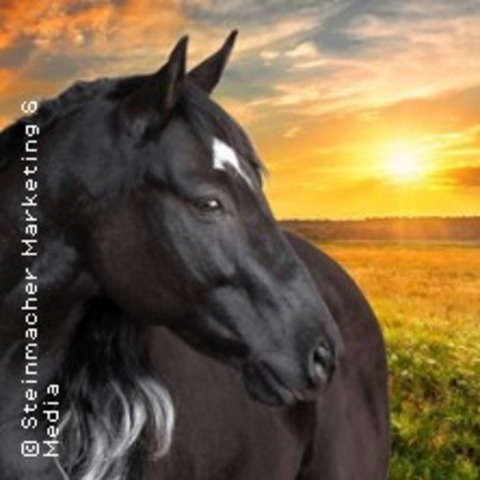 Ostwind - Live - N�RNBERG - 25.04.2026 15:00