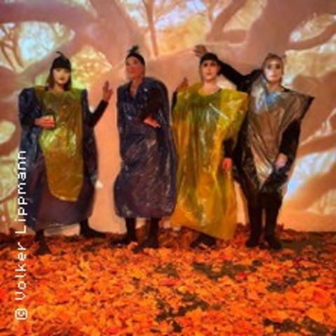 Bookpink ein dramatisches Kompendium - Schr�ge V�gel - wilde Zeiten v. Caren Je� - K�LN - 29.01.2026 20:00