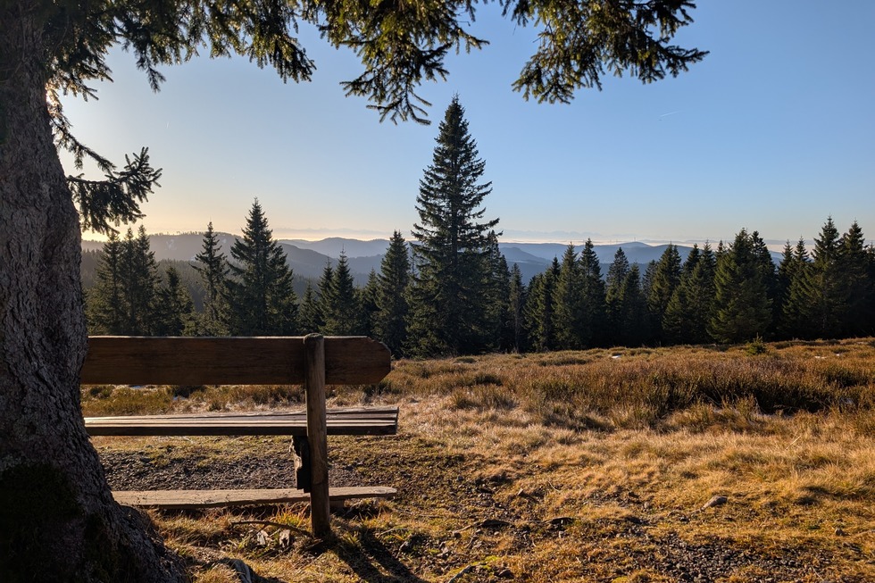 Winterwanderung auf den St�benwasen - Todtnau