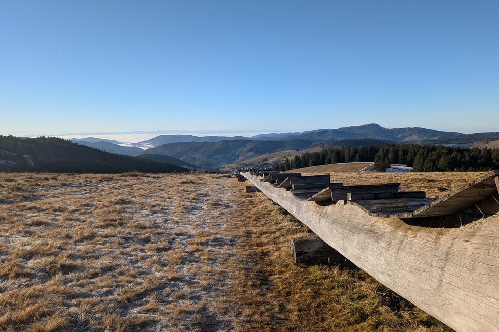 Winterwanderung auf den St�benwasen - Todtnau