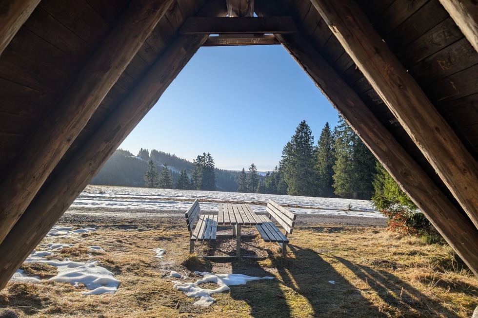 Winterwanderung auf den St�benwasen - Todtnau