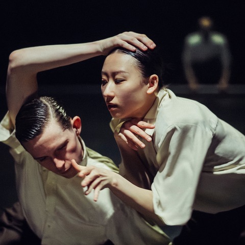 NDT 1 (NL): „Wildsong“ - Heerlen - 07.03.2026 20:00