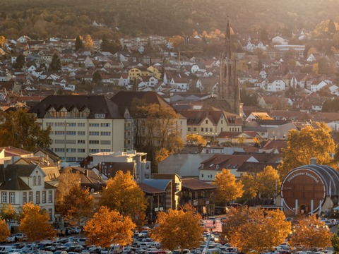 Herbstzauber: Stadtgeschichte, Zwiebelkuchen & Neuer Wein - Bad D�rkheim - 04.09.2026 15:00