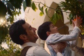 Im Schatten des Orangenbaums